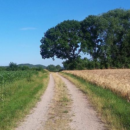 Landgasthof Zur Untermuehle Datterode Екстер'єр фото