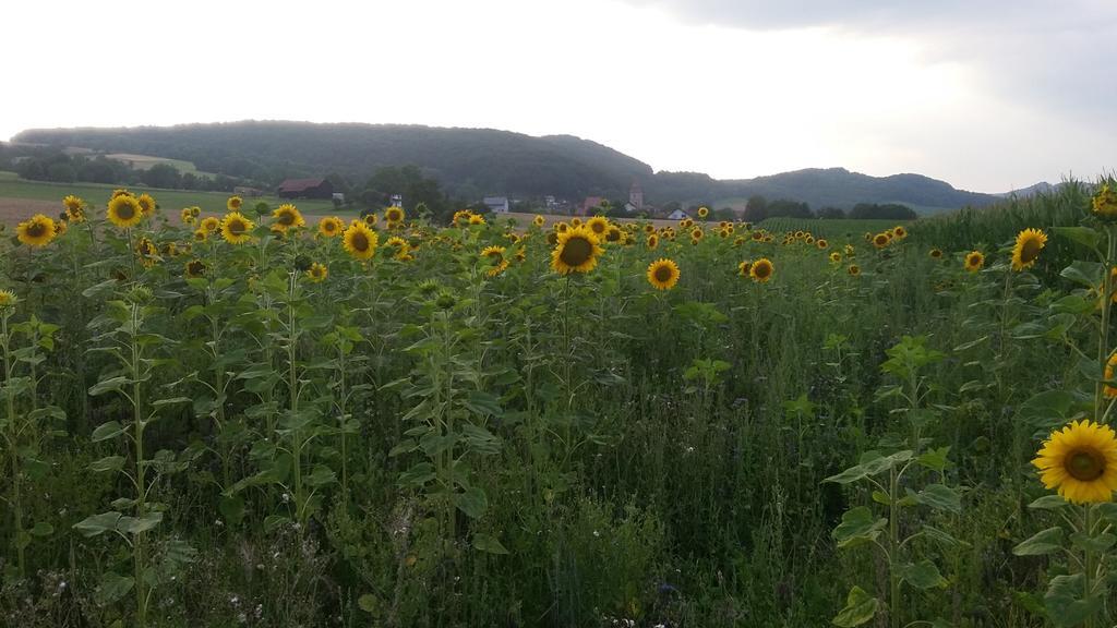 Landgasthof Zur Untermuehle Datterode Екстер'єр фото