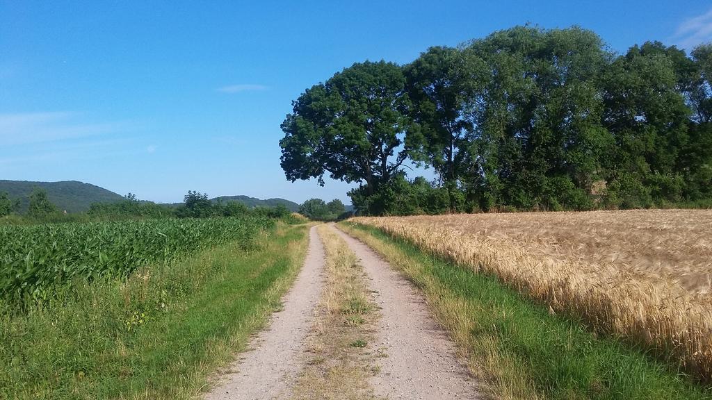 Landgasthof Zur Untermuehle Datterode Екстер'єр фото